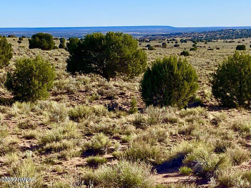 River River Meadows Ranch Snowflake, AZ 85937 - Photo 8 of 22 a view of a lake