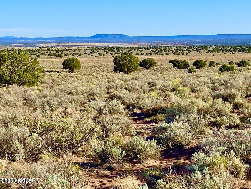 River River Meadows Ranch Snowflake, AZ 85937 - Photo 9 of 22 a view of an ocean