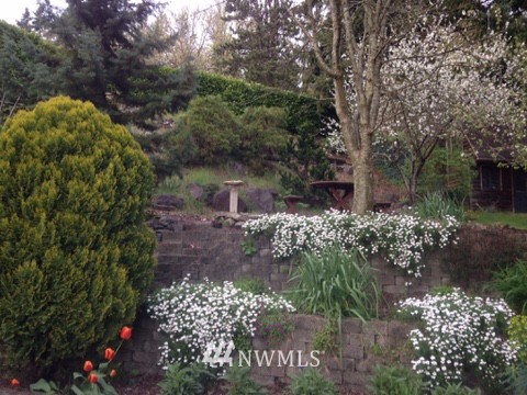 241 Northeast Terrace Road Chehalis, WA 98532 - Photo 6 of 16 Gallery Image 6