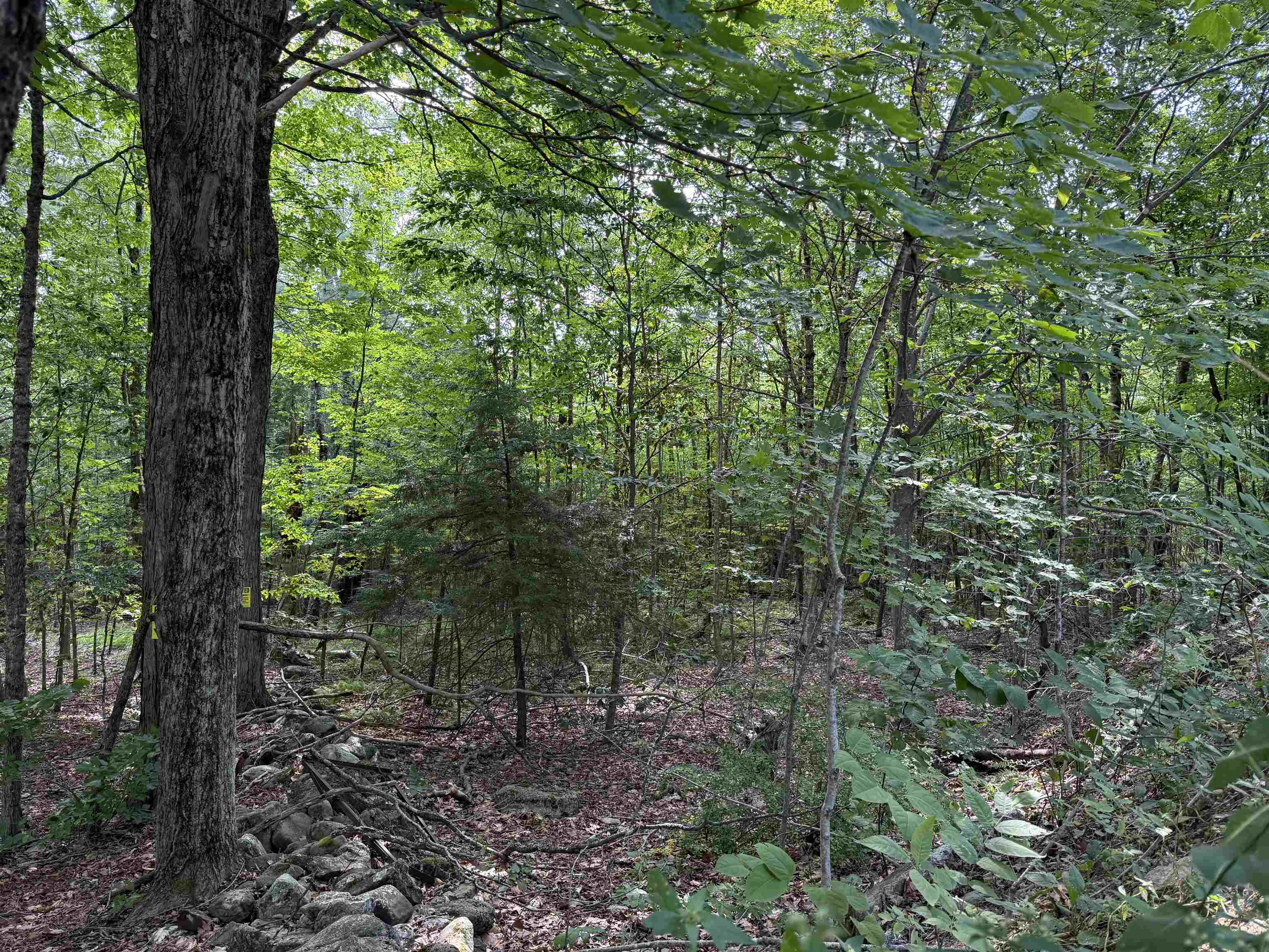 0 Parkey Road Barnstead, NH 03218 - Photo 9 of 11 Gallery Image 9