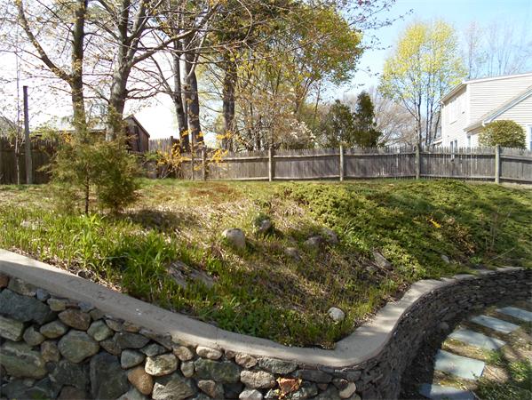 8 Dewitt Road Stoneham, MA 02180 - Photo 5 of 9 Gallery Image 5