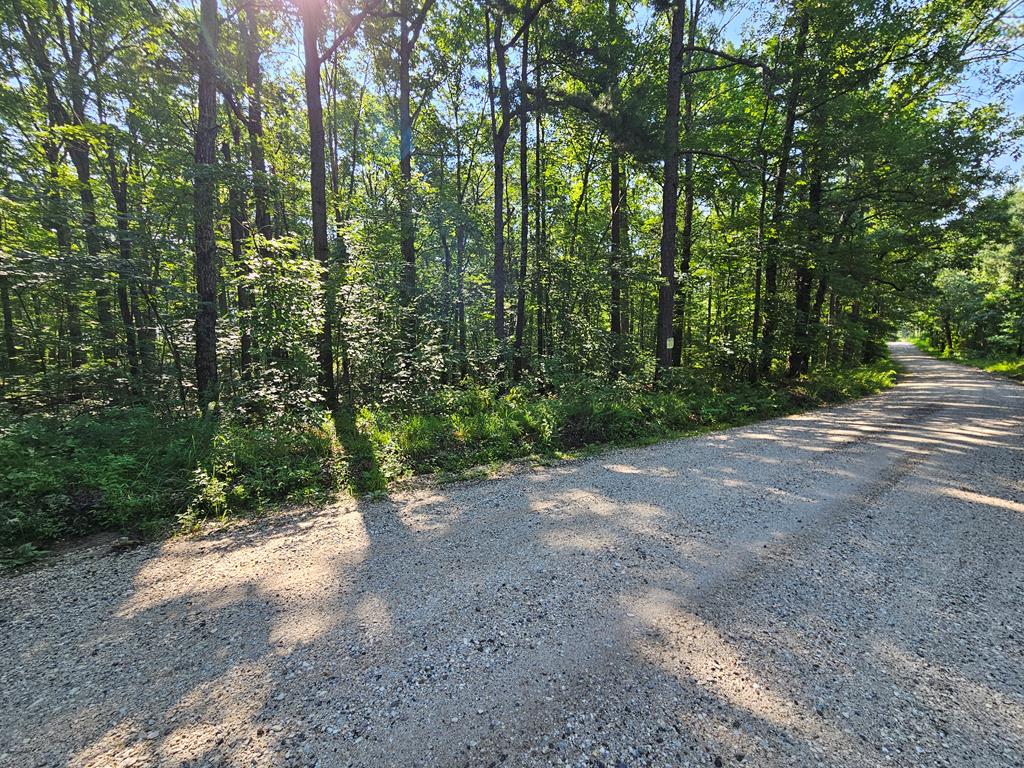 Sycamore Creek Road Buckingham, VA 23921 - Photo 10 of 13 Gallery Image 10