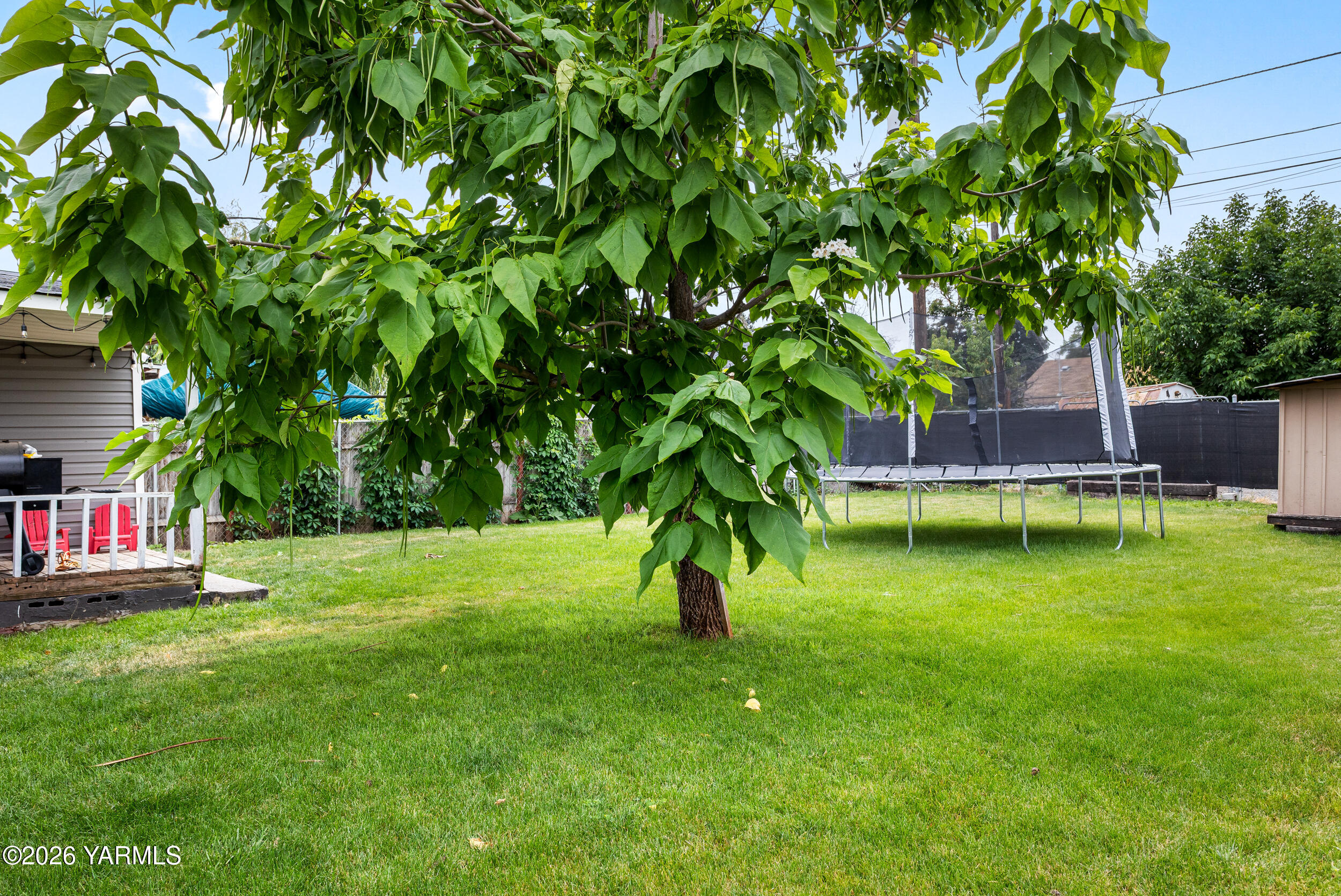 207 North F Street Toppenish, WA 98948 - Photo 4 of 21 Great backyard