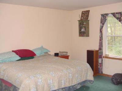 4172 Run Road New Tripoli, PA 18066 - Photo 7 of 8 MASTER BEDROOM