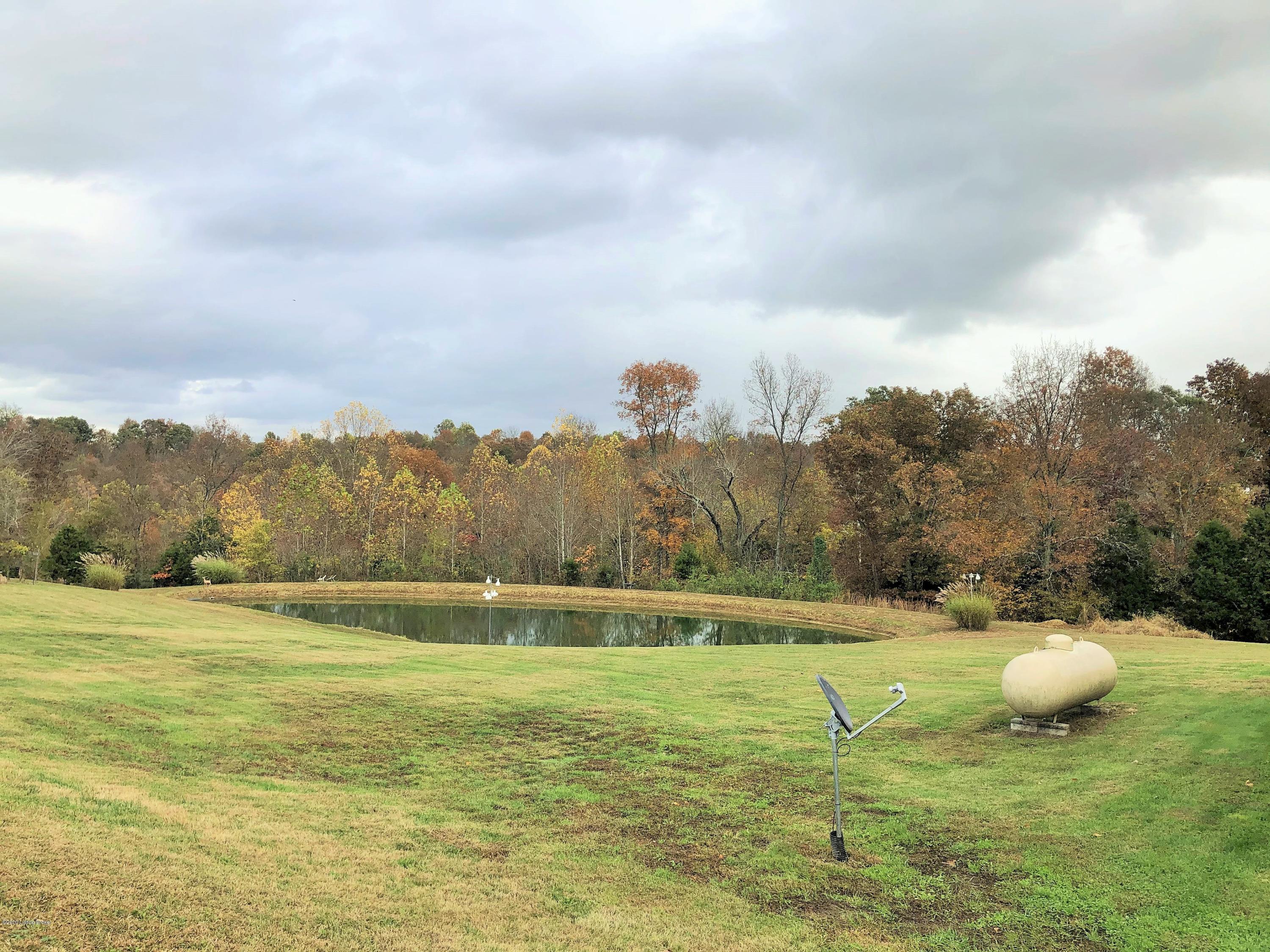 243 Old Peth Road Caneyville, KY 42721 - Photo 7 of 72 2020-10-23_11-41-26_990 (2)