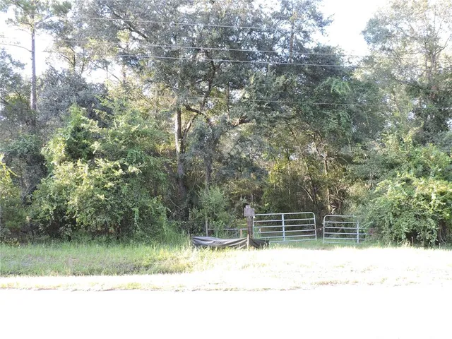 a house view with a outdoor space