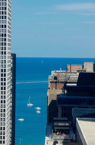 111 East Chestnut Street, Unit 30A Chicago, IL 60611 - Photo 4 of 25