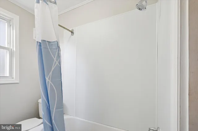 a bathroom with a shower and a toilet