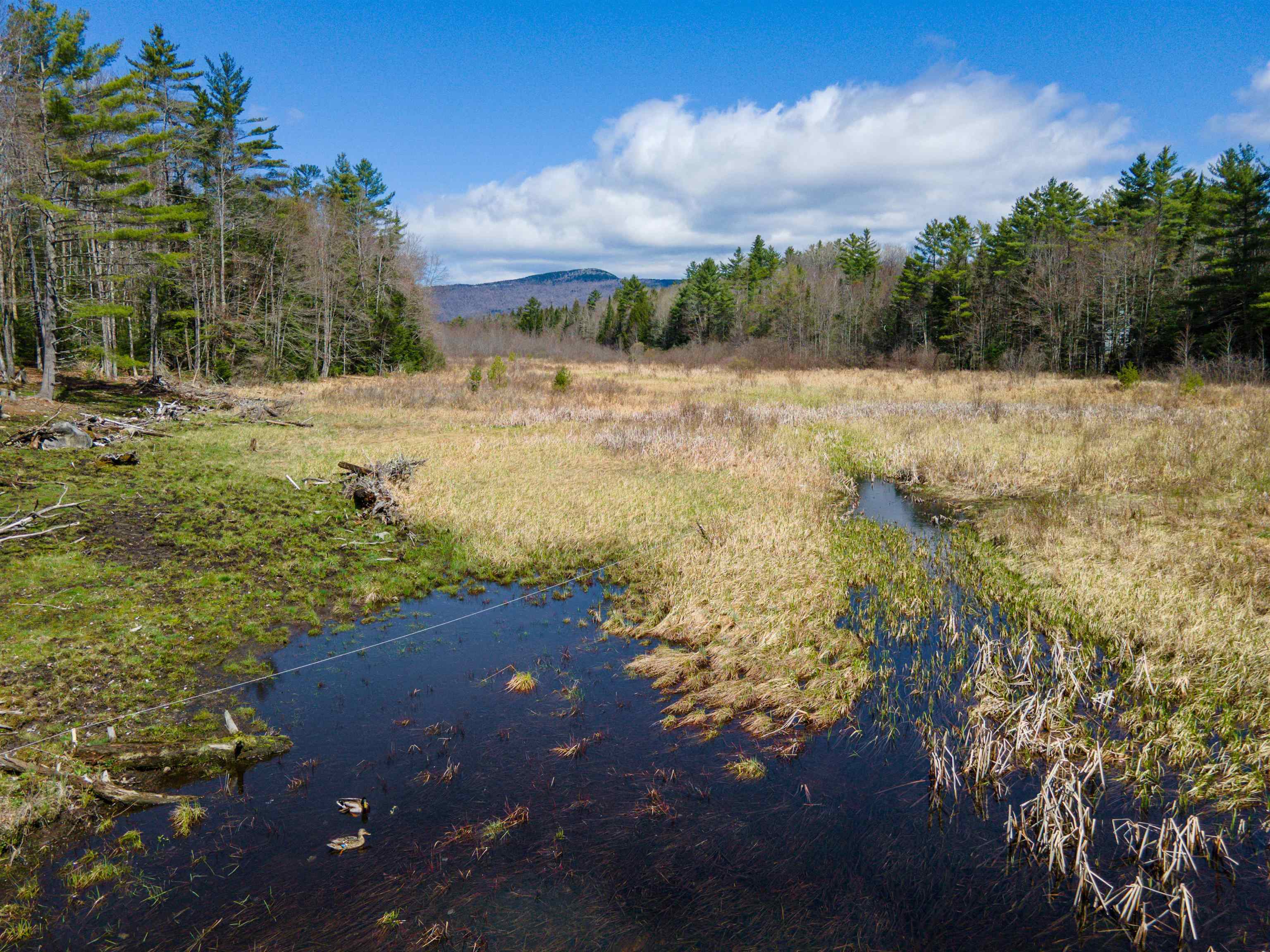 193 Croydon Tpke Road Croydon, NH 03773 - Photo 1 of 38 Gallery Image 1