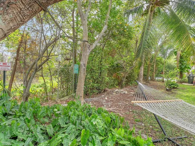 a view of a park with large trees