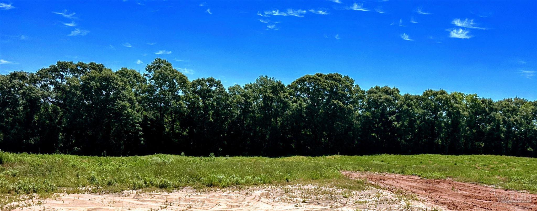 0 T Bridge Road Red Level, AL 36474 - Photo 22 of 25 a view of a yard with plants and tree