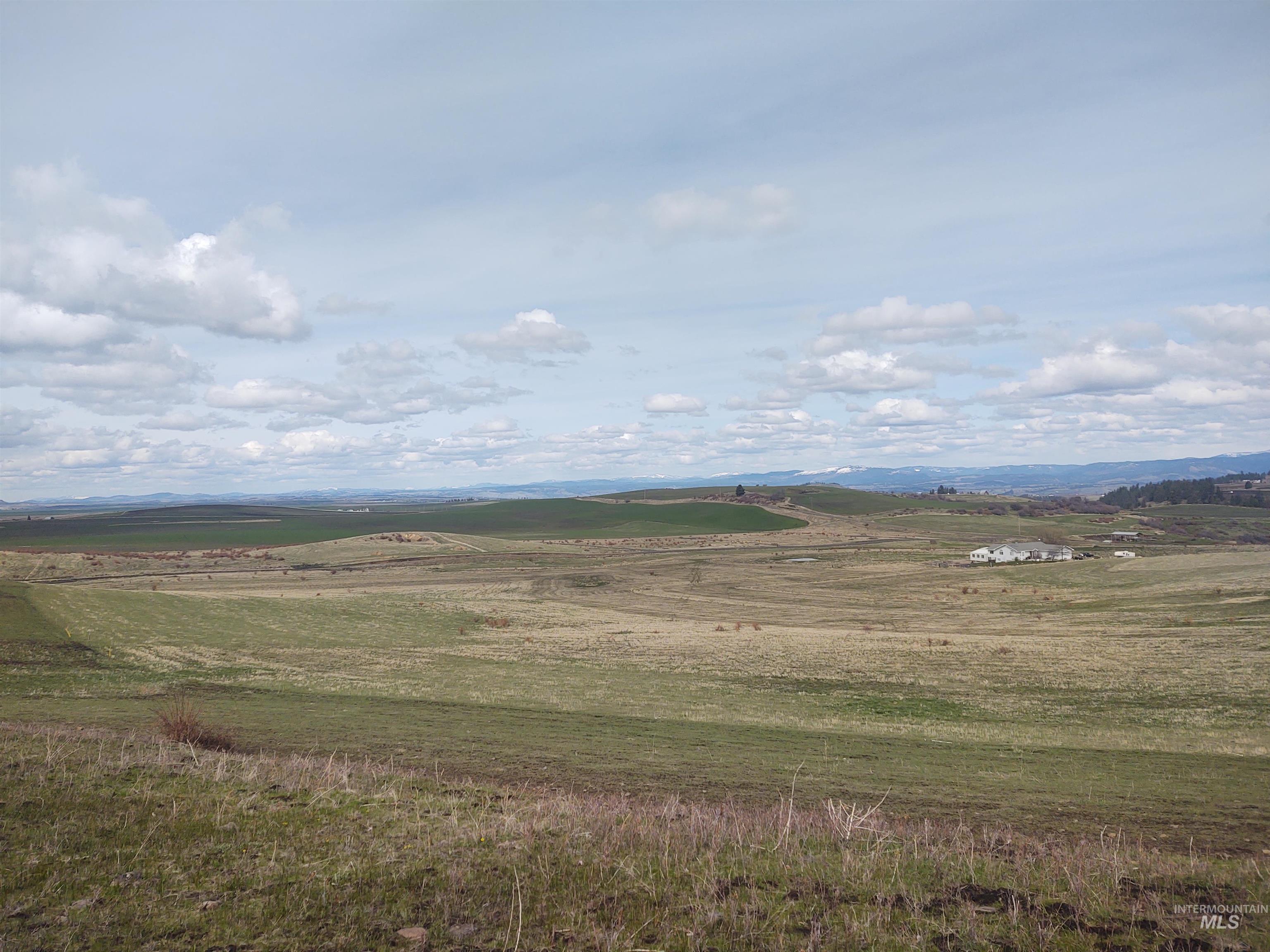 Lot 14 Knox Road Grangeville, ID 83530 - Photo 9 of 13