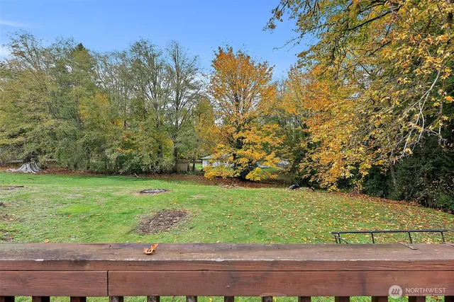 a view of a yard with a tree