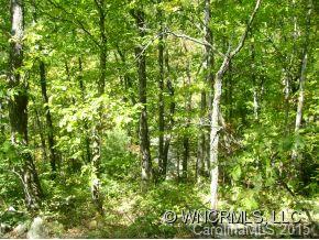 0 Webb Cove Road, Unit 2 Asheville, NC 28804 - Photo 11 of 12 Gallery Image 11