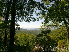 0 Webb Cove Road, Unit 2 Asheville, NC 28804 - Photo 4 of 12 Gallery Image 4
