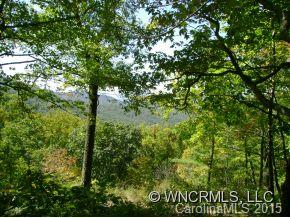 0 Webb Cove Road, Unit 2 Asheville, NC 28804 - Photo 8 of 12 Gallery Image 8