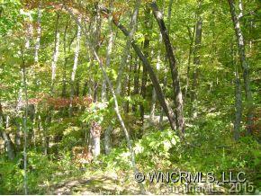 0 Webb Cove Road, Unit 2 Asheville, NC 28804 - Photo 10 of 12 Gallery Image 10