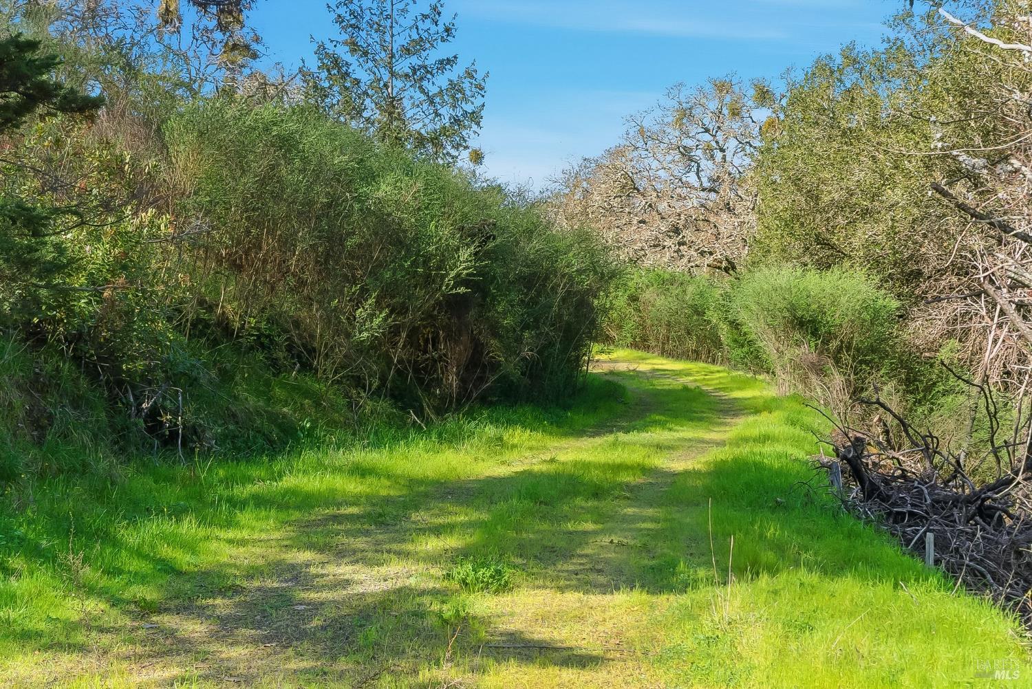 1477 Leslie Road Healdsburg, CA 95448 - Photo 22 of 40 a backyard of a house with lots of green space