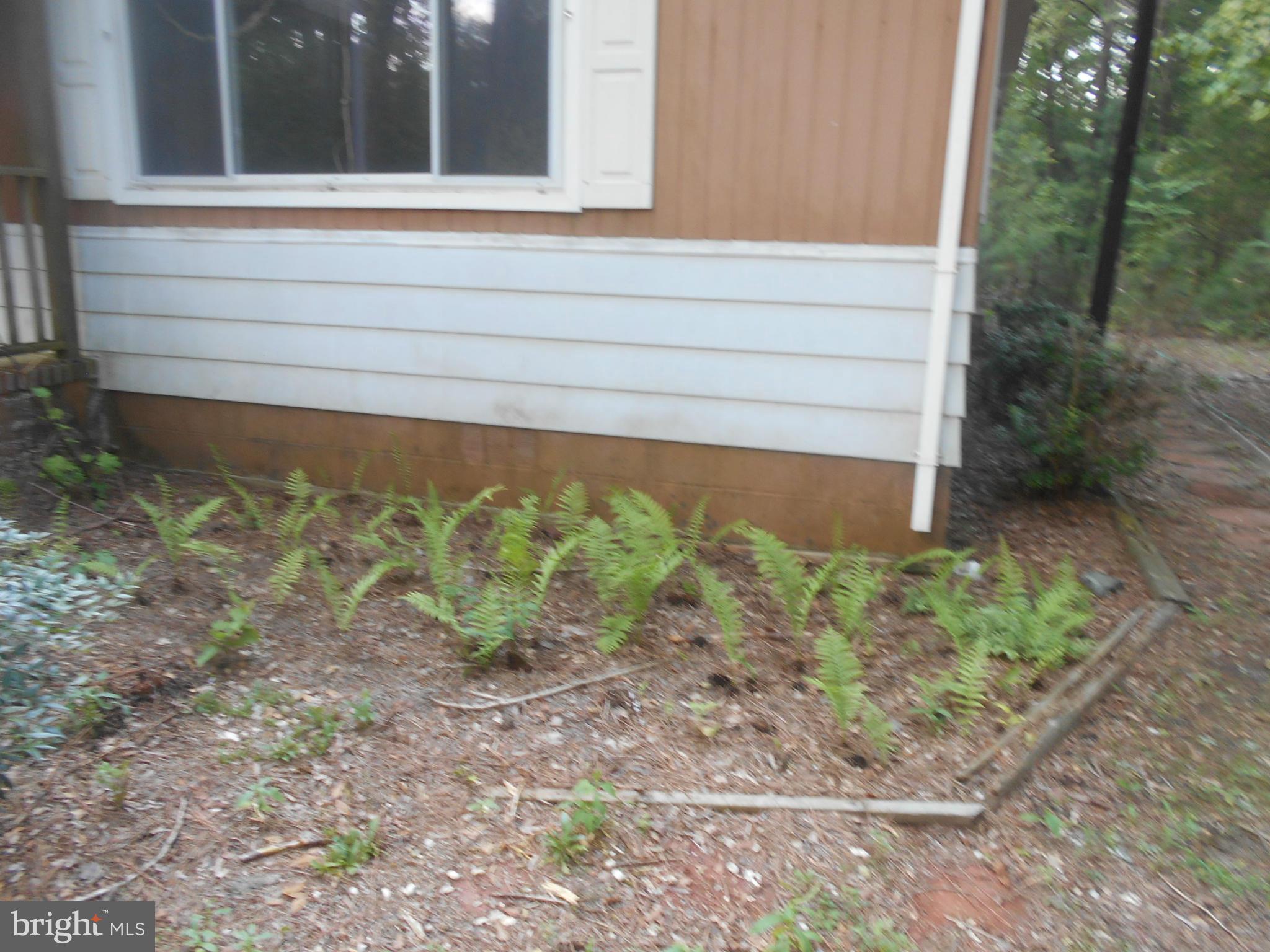 4958 Skeet Club Road Hurlock, MD 21643 - Photo 14 of 14 Exterior (General)