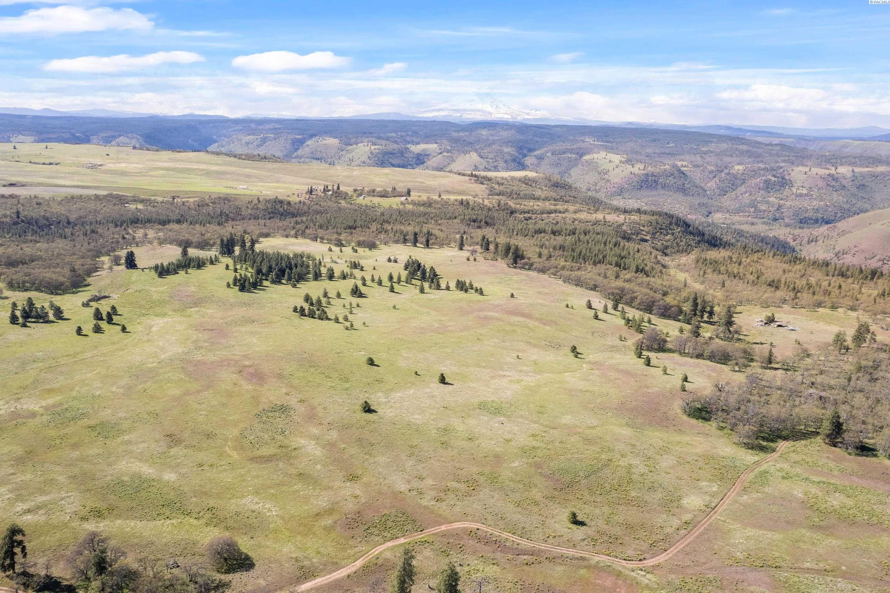 Lot 19 Schilling Road Lyle, WA 98635 - Photo 24 of 39 Gallery Image 24