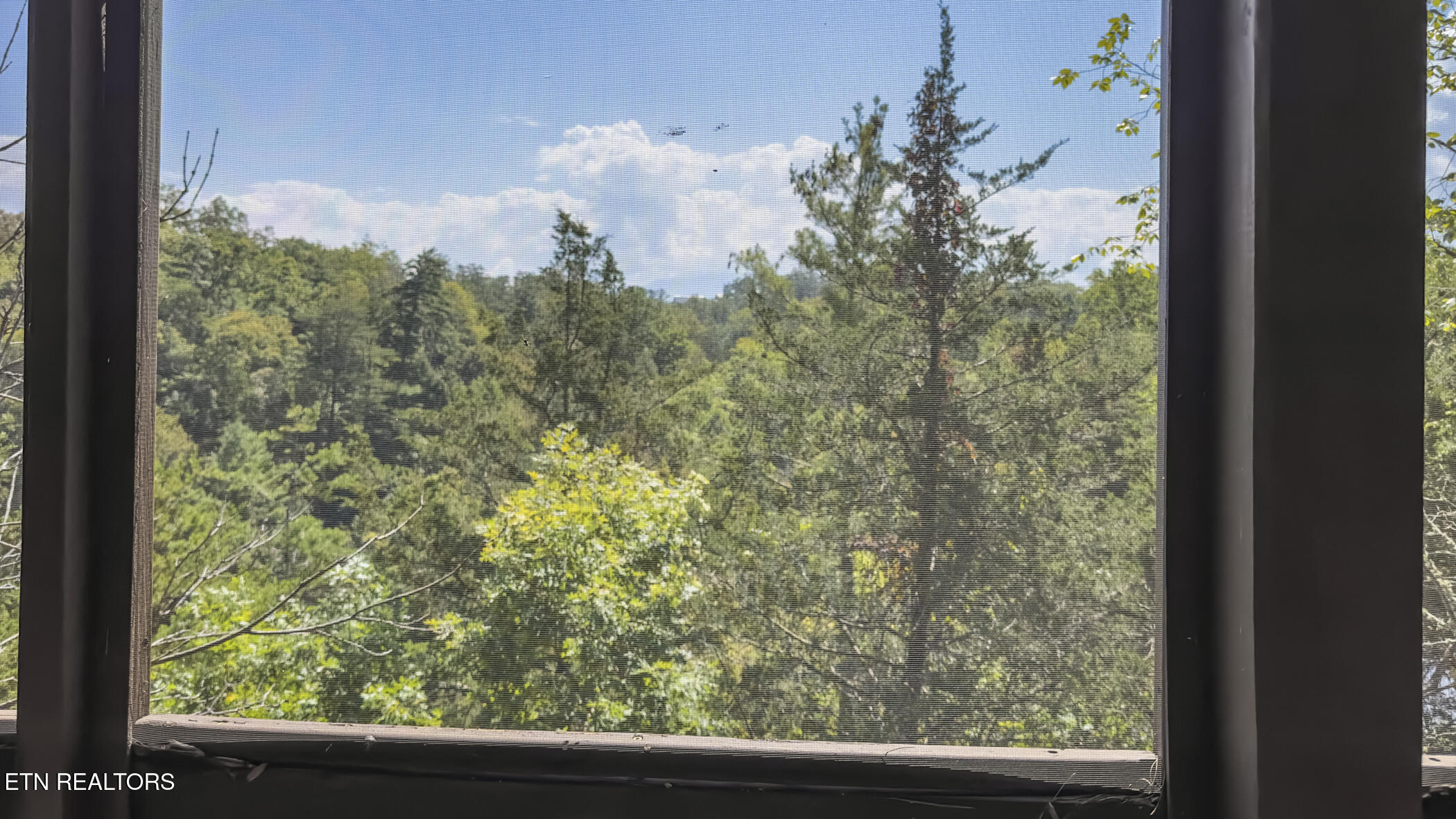 838 Bear Run Way Sevierville, TN 37862 - Photo 44 of 58 img_6428