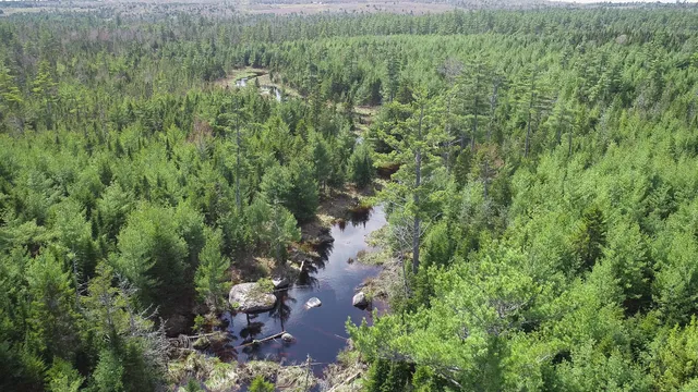 $2,400,000 | 200 Eastbrook Me 04634, Eastbrook, ME 04634