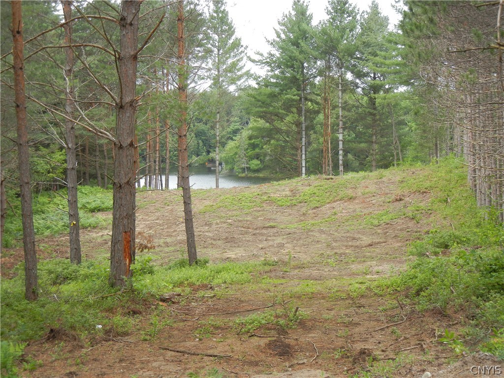 5118 Eagle Drive Road Brantingham, NY 13312 - Photo 1 of 1