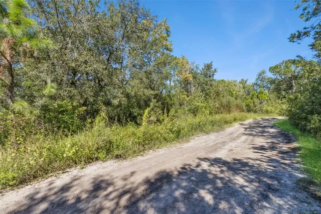 a view of a road with a yard