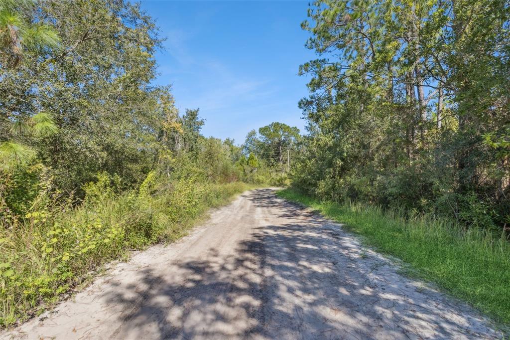 18 Kelly Ridge Road Frostproof, FL 33843 - Photo 7 of 9 a view of a road with a yard