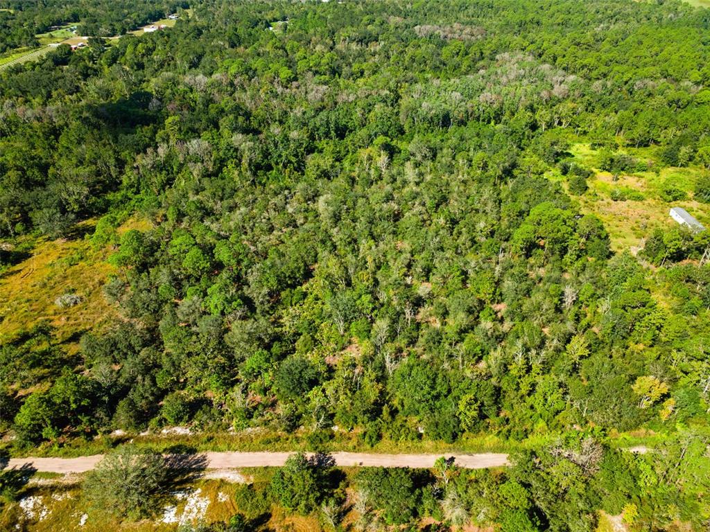 18 Kelly Ridge Road Frostproof, FL 33843 - Photo 8 of 9 a view of a lush green forest