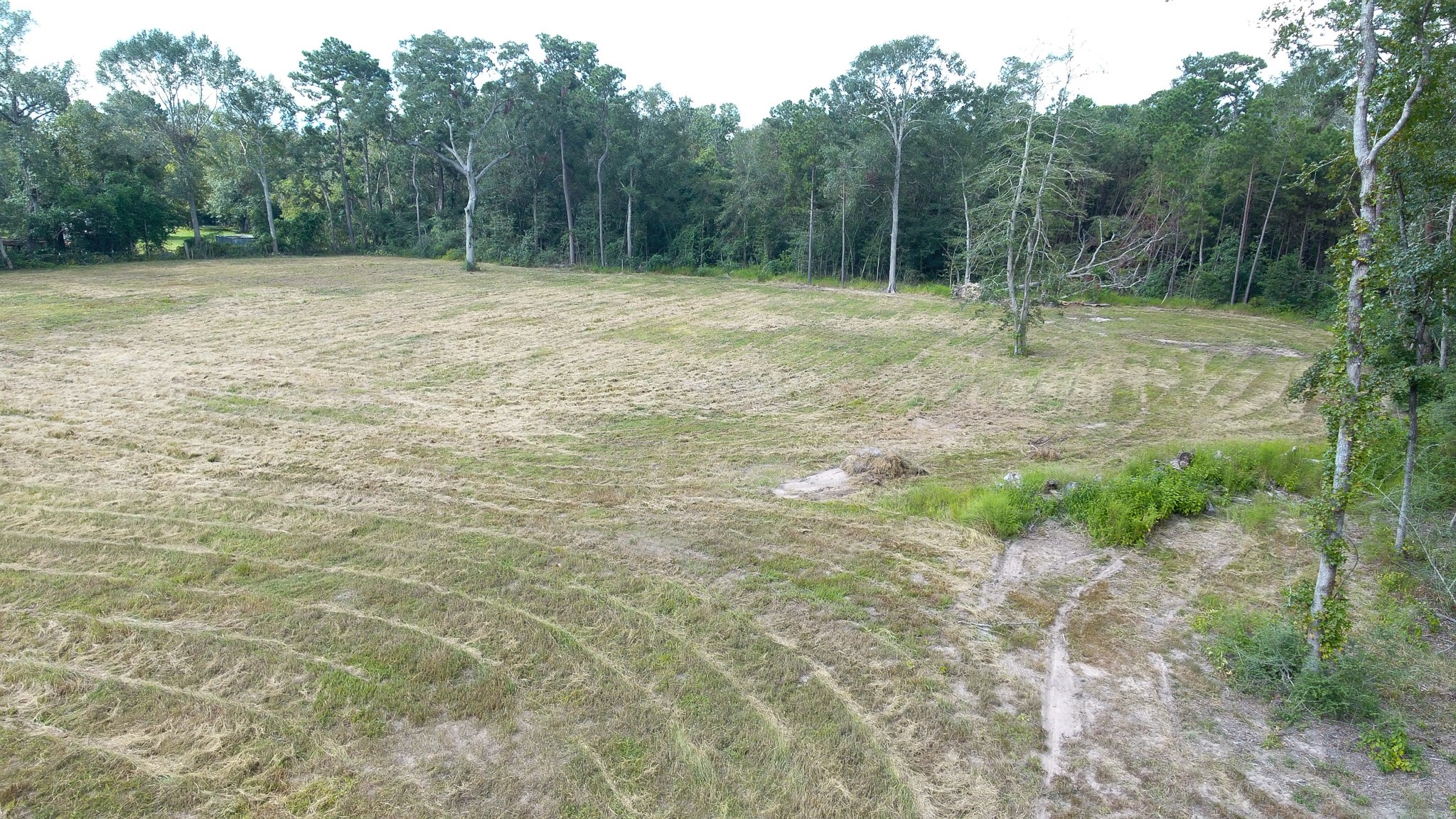 12075 Coon Hollow Road Conroe, TX 77306 - Photo 4 of 14 a view of a backyard