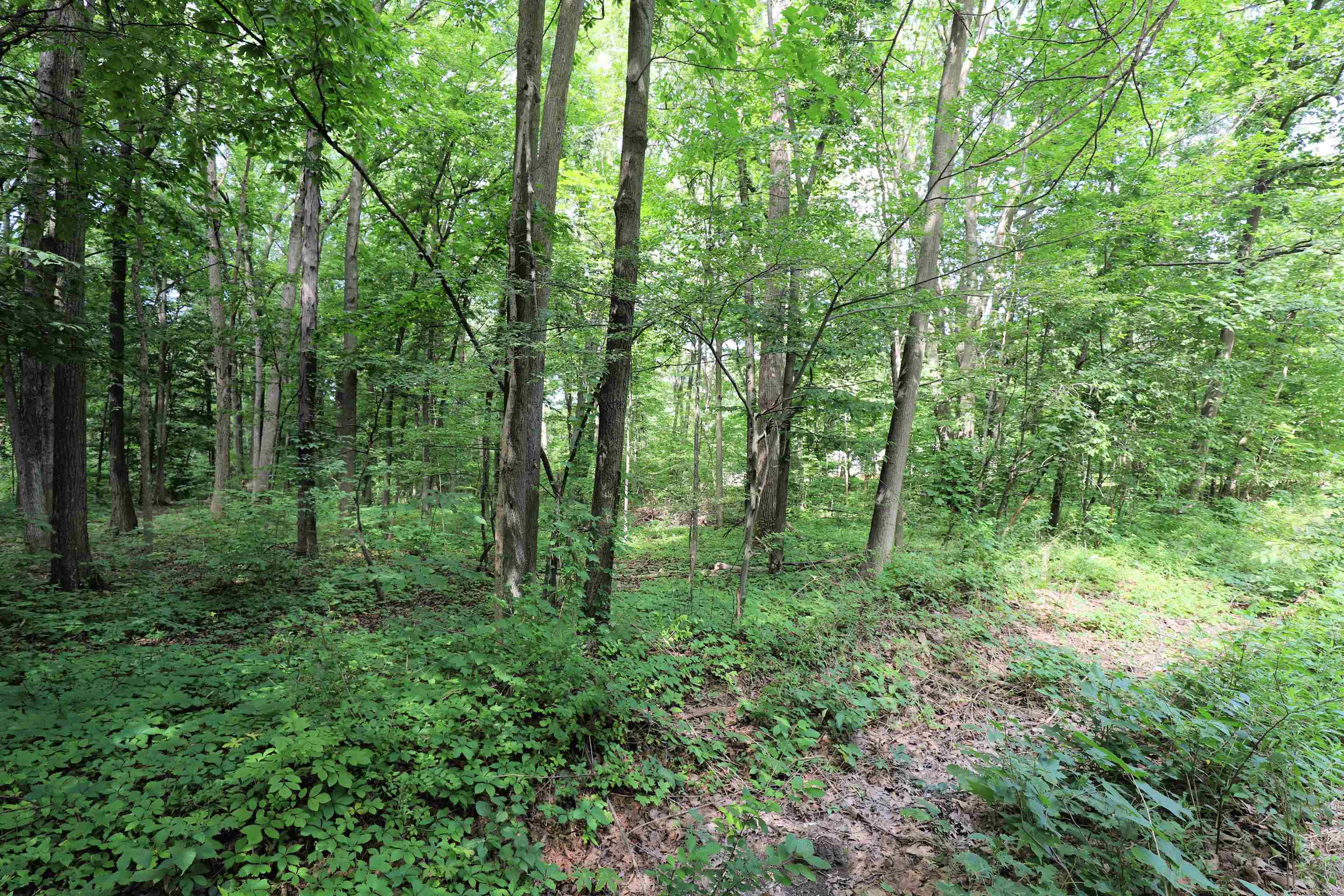 6334 Brewer Road Flint, MI 48507 - Photo 5 of 6