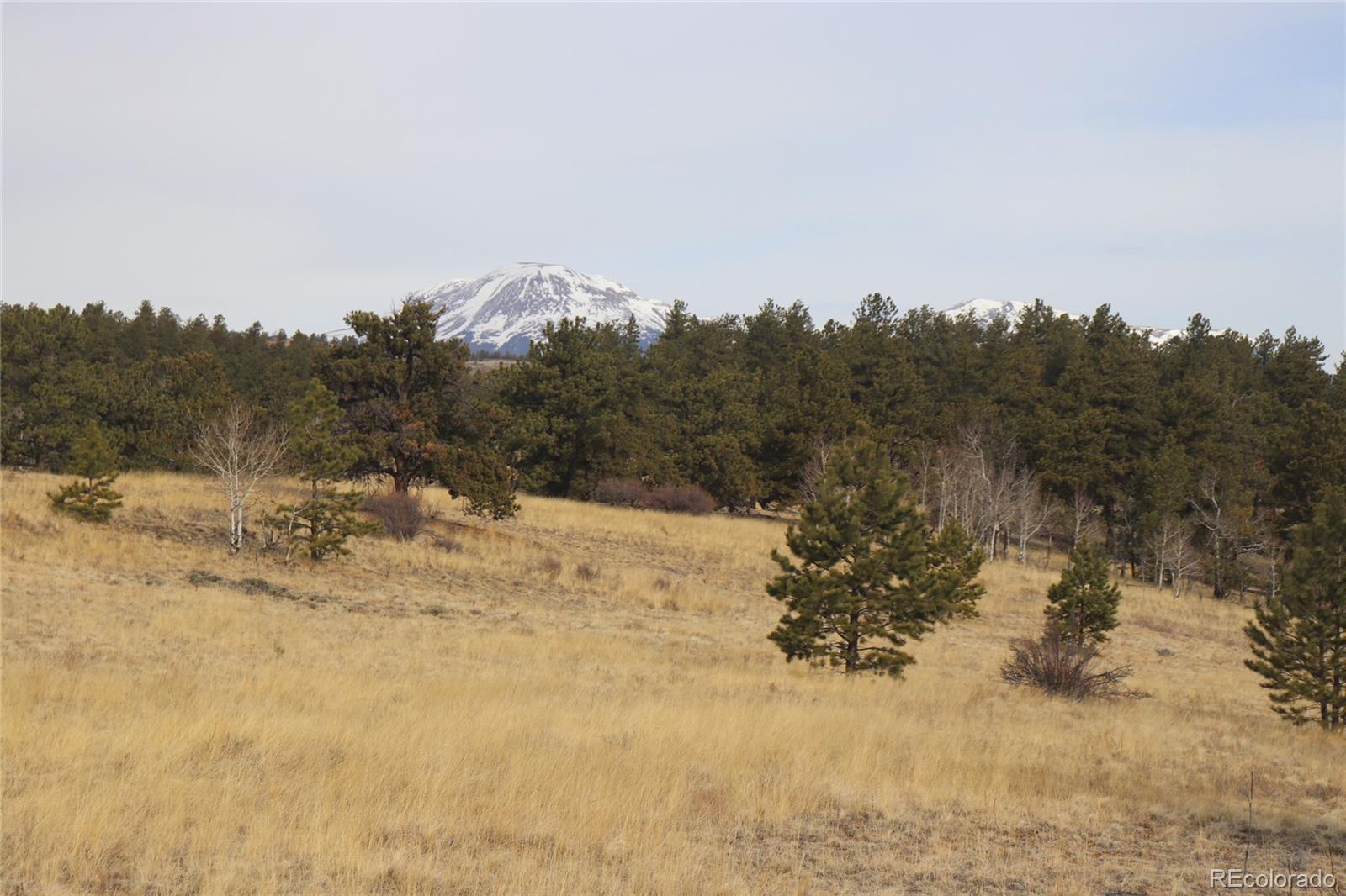4885 Campfire Road Hartsel, CO 80449 - Photo 12 of 20 a view of a snow covered with snow in outdoor space