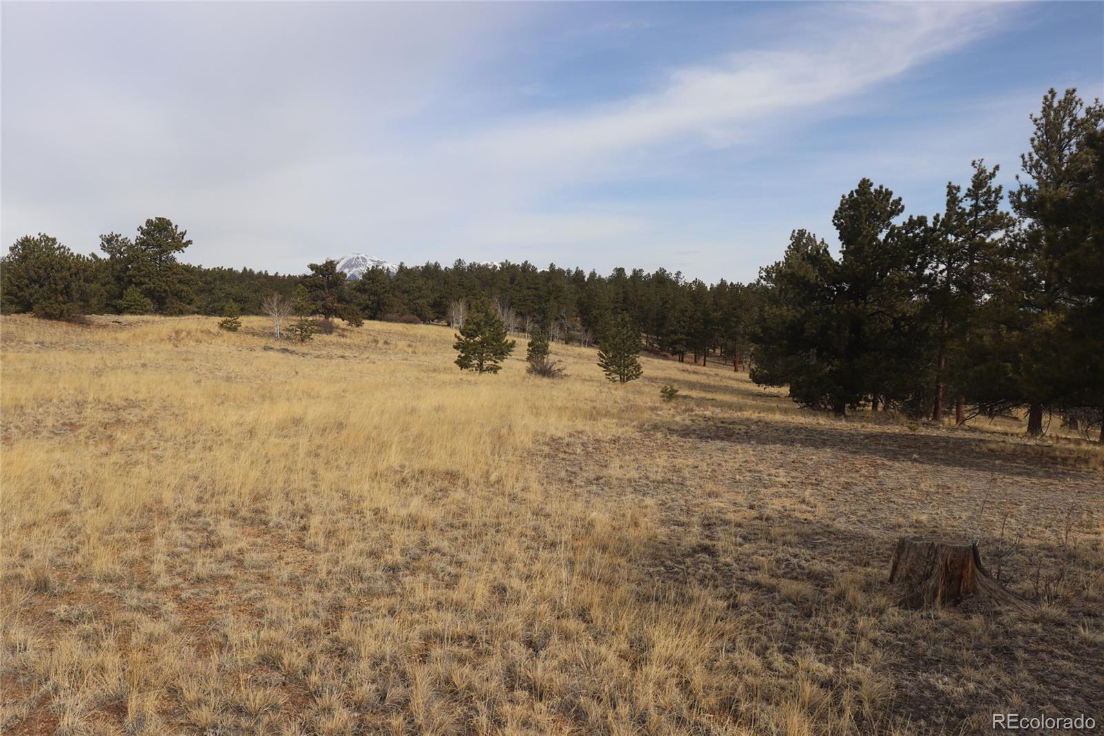 4885 Campfire Road Hartsel, CO 80449 - Photo 14 of 20 a view of lake view and mountain view