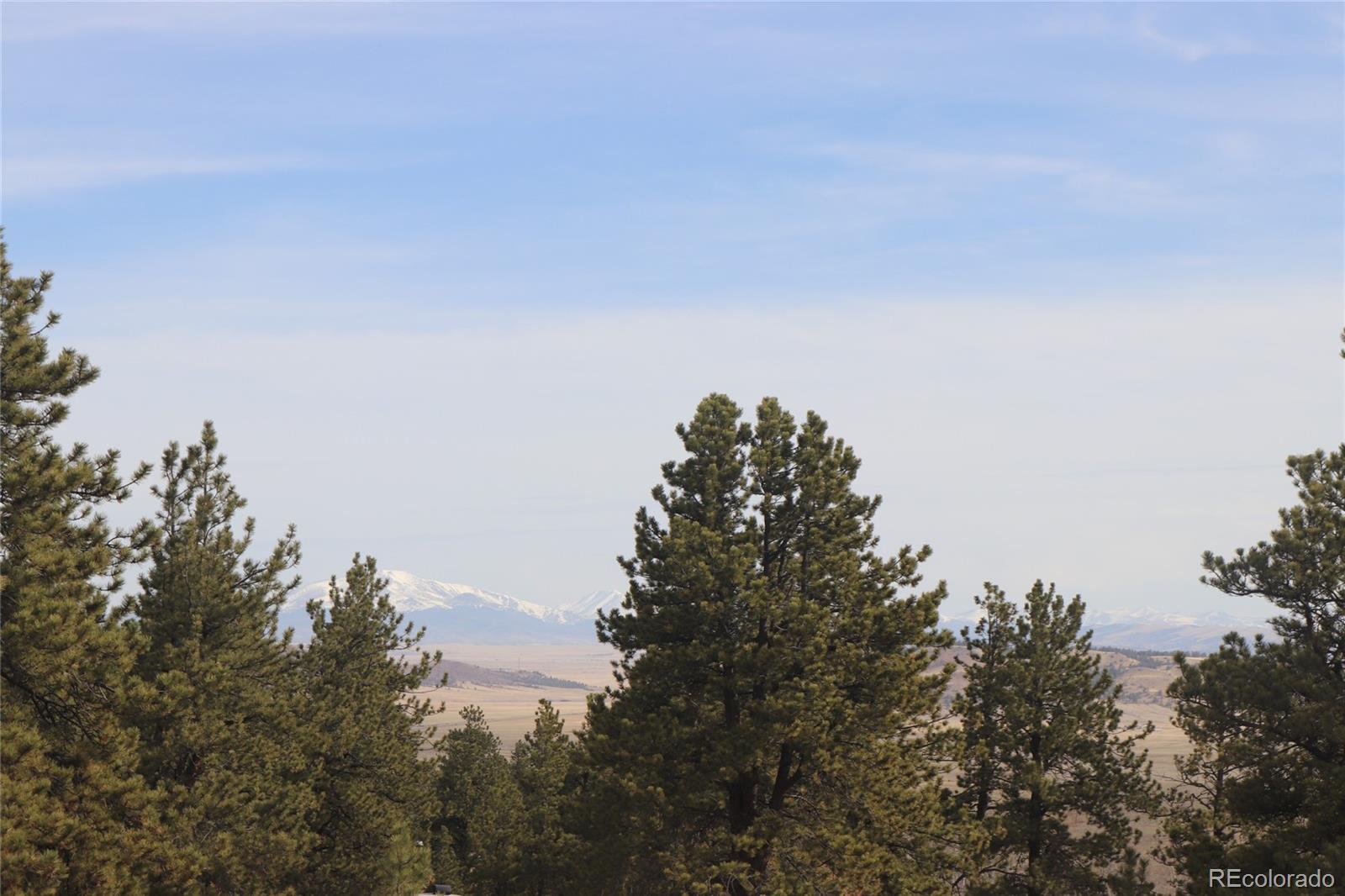 4885 Campfire Road Hartsel, CO 80449 - Photo 16 of 20 a view of a field with trees in the background