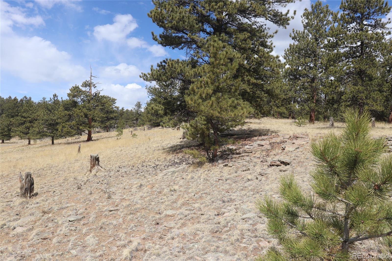 4885 Campfire Road Hartsel, CO 80449 - Photo 18 of 20 a view of ocean view with large trees