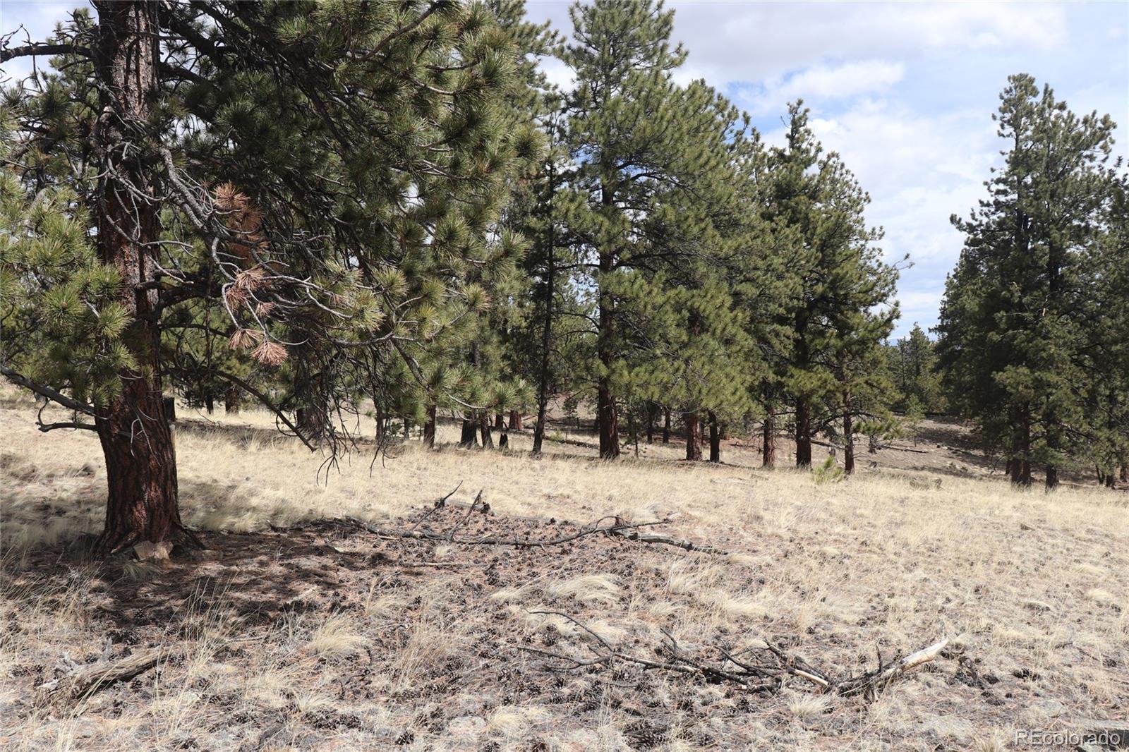 4885 Campfire Road Hartsel, CO 80449 - Photo 20 of 20 a view of snow on a field