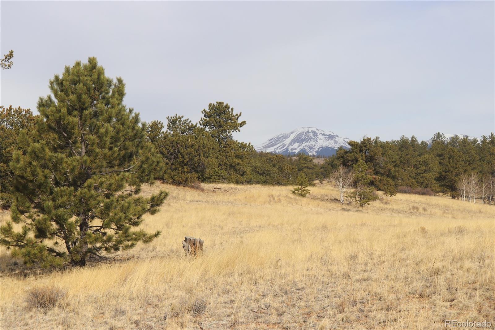 4885 Campfire Road Hartsel, CO 80449 - Photo 2 of 20