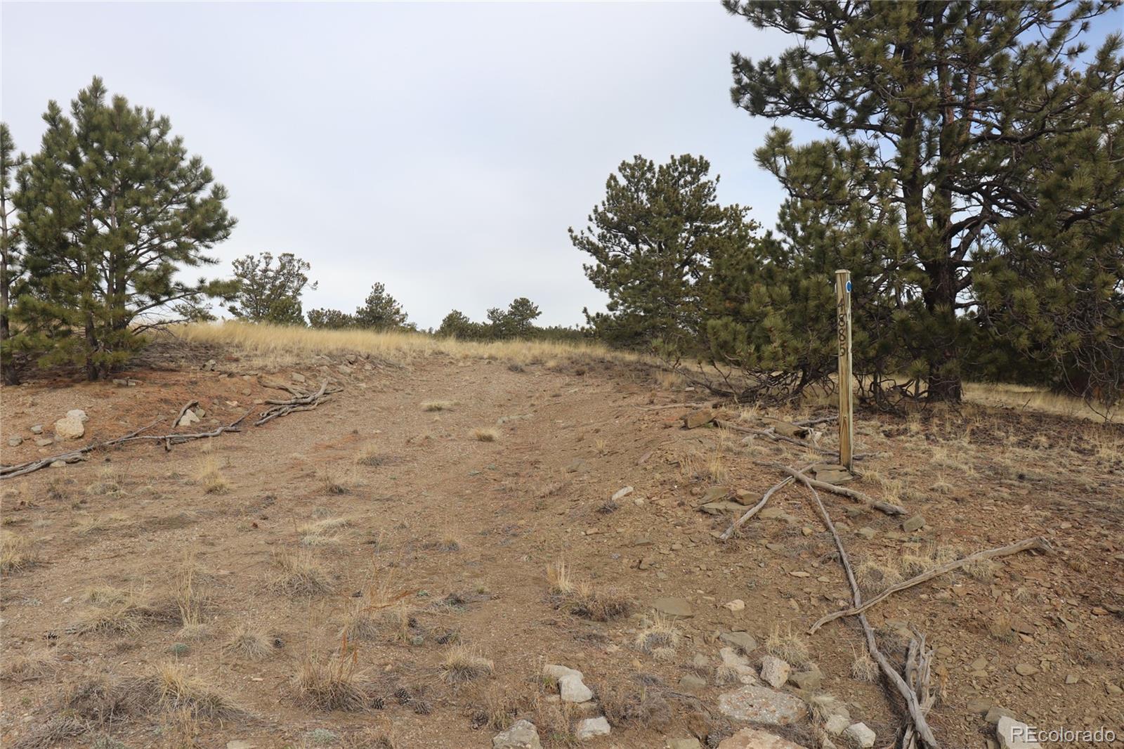 4885 Campfire Road Hartsel, CO 80449 - Photo 3 of 20 a view of dirt field with trees in the background