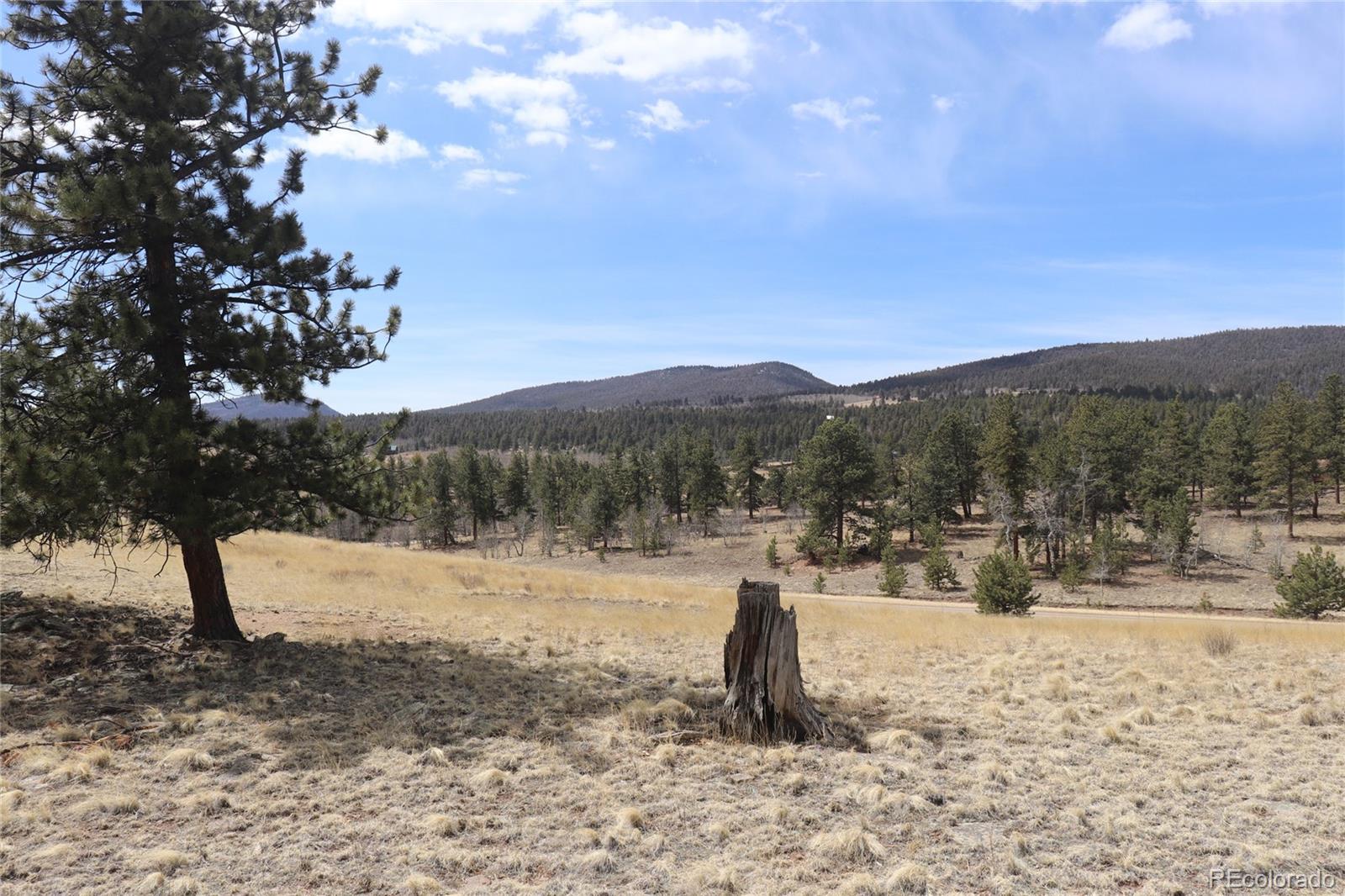 4885 Campfire Road Hartsel, CO 80449 - Photo 4 of 20 a view of a dry yard with mountain and trees