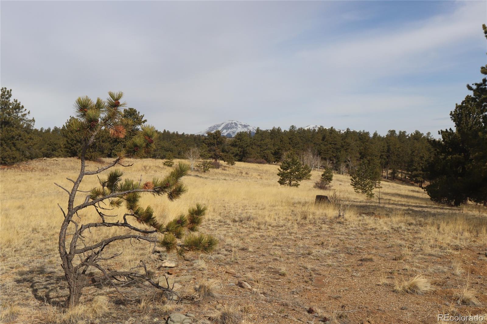 4885 Campfire Road Hartsel, CO 80449 - Photo 10 of 20 a view of lake view and mountain view