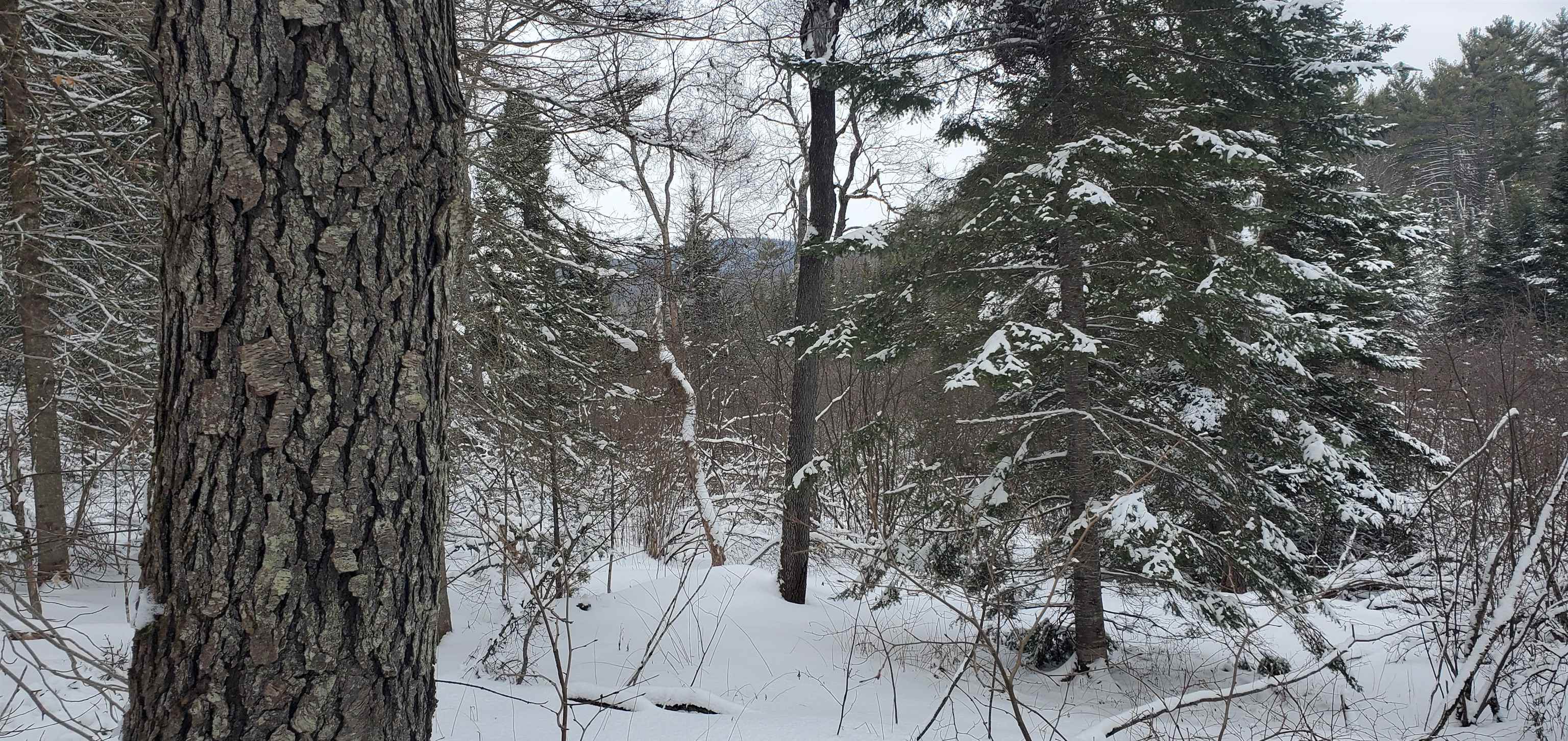 0 Bobbin Mill Road Lyman, NH 03585 - Photo 11 of 28