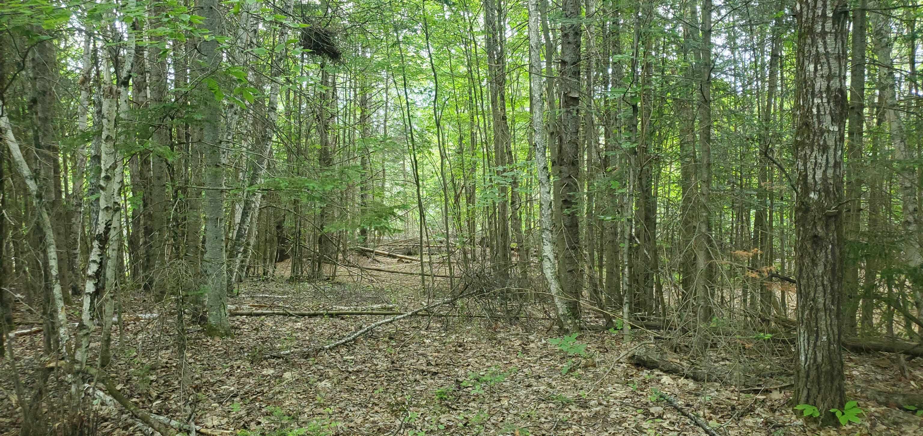 0 Bobbin Mill Road Lyman, NH 03585 - Photo 15 of 28