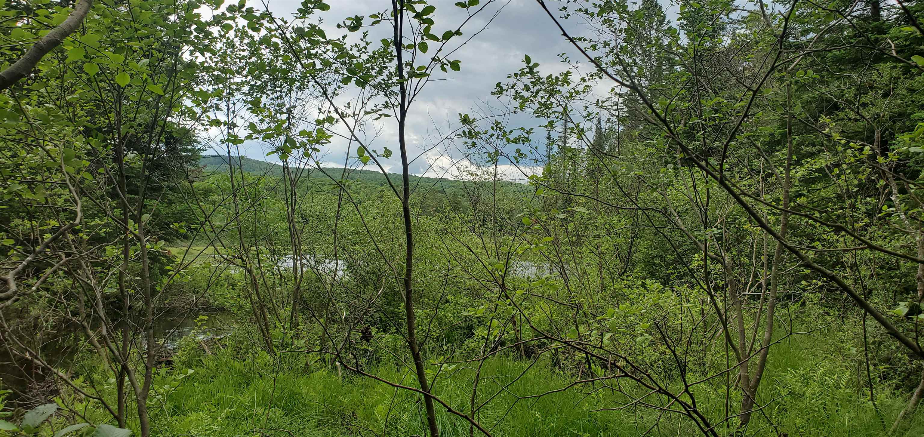 0 Bobbin Mill Road Lyman, NH 03585 - Photo 2 of 28