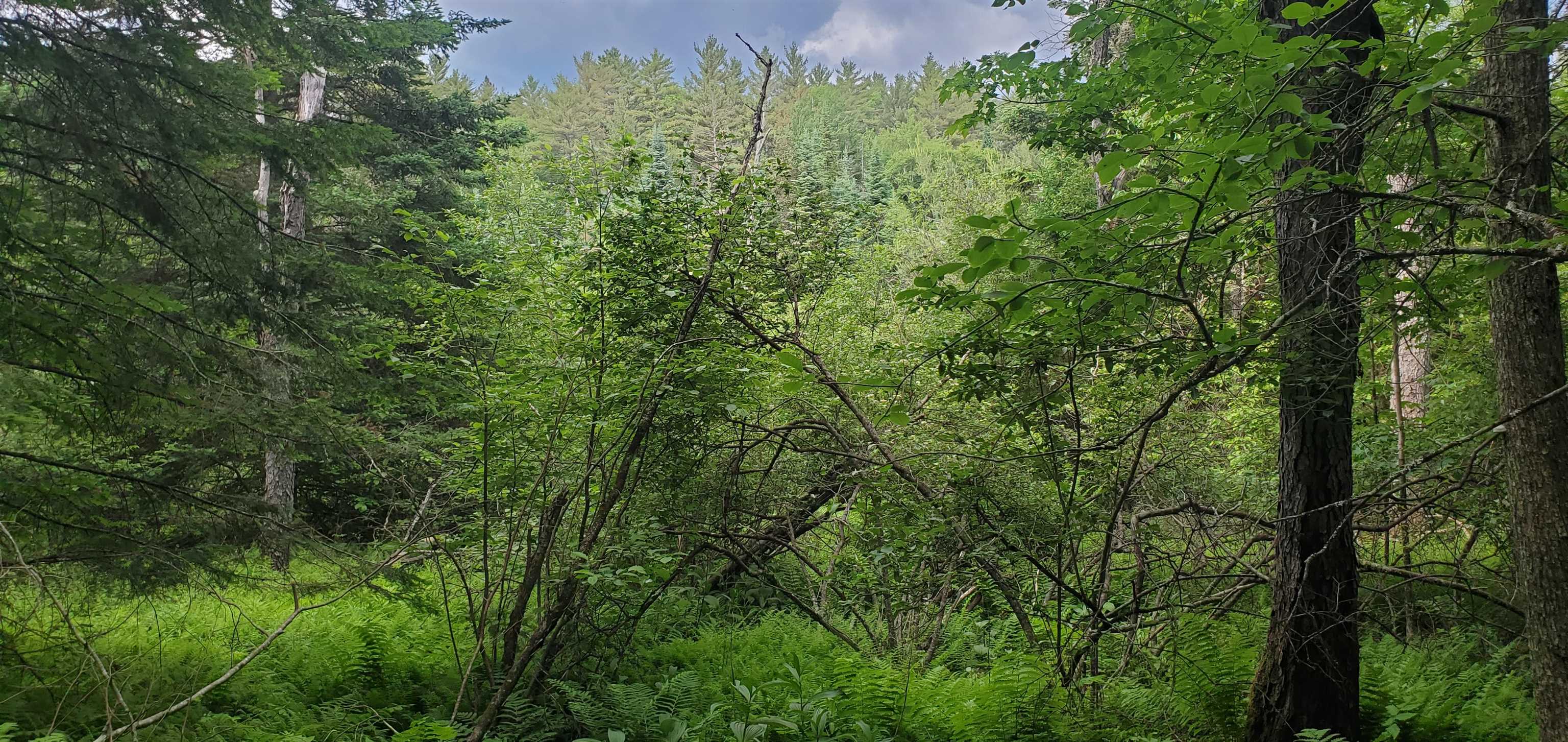 0 Bobbin Mill Road Lyman, NH 03585 - Photo 3 of 28