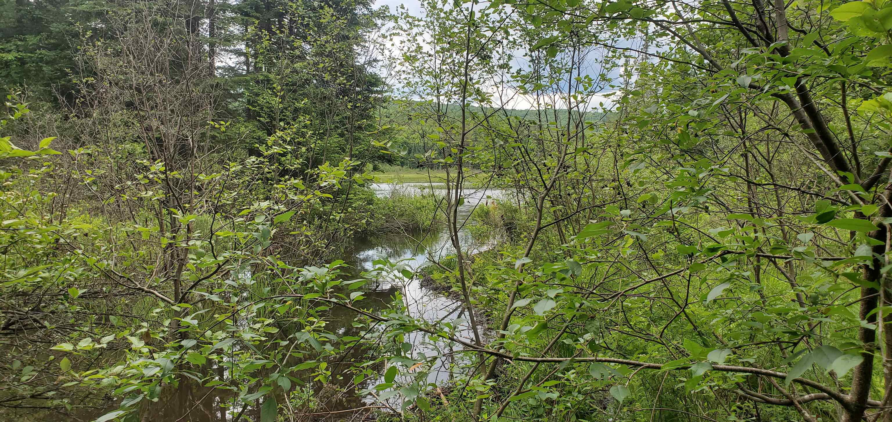 0 Bobbin Mill Road Lyman, NH 03585 - Photo 5 of 28