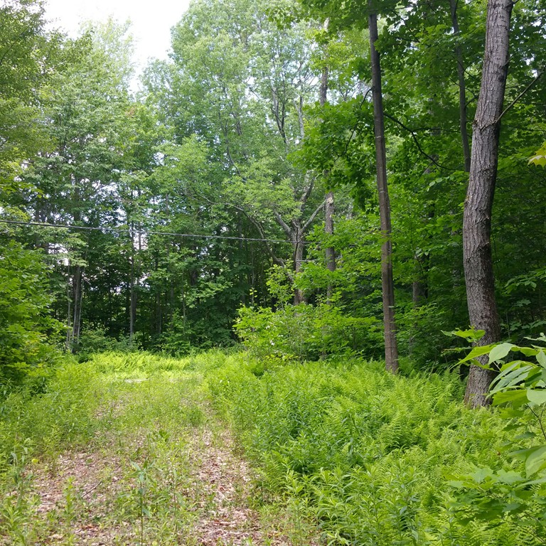 0 Old Post Road Worthington, MA 01098 - Photo 1 of 2 Gallery Image 1