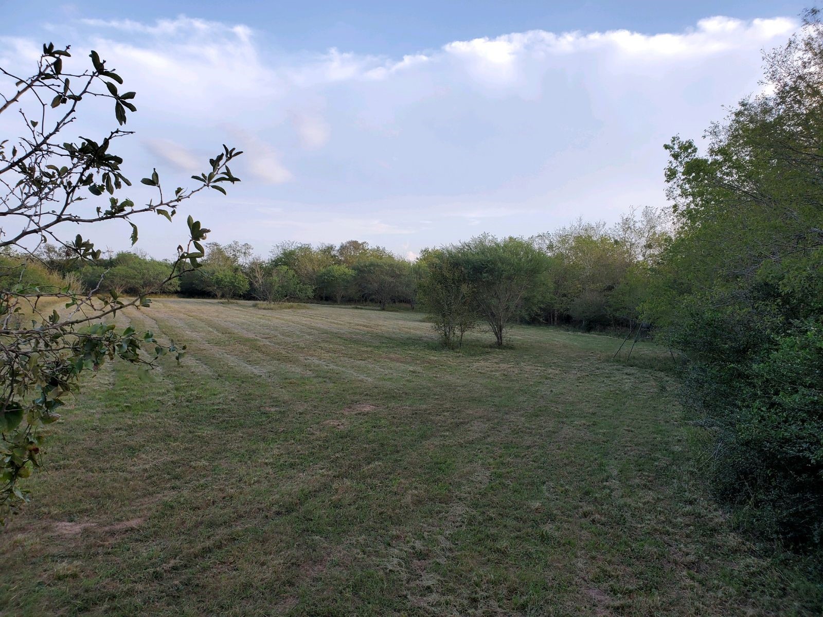 14029 Cochran Road Waller, TX 77484 - Photo 14 of 25
