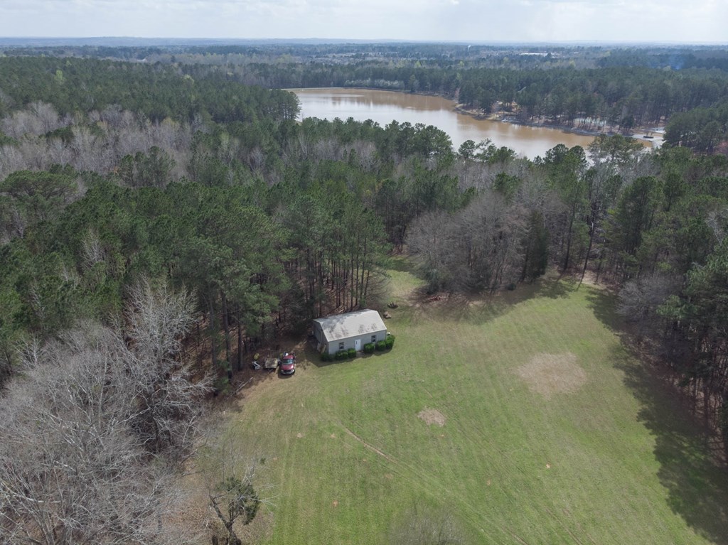 6487-9 Pierce Chapel Road Midland, GA 31820 - Photo 54 of 61 Back of property has lake view