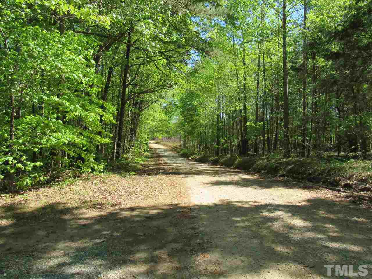 7204 Jock Road Bahama, NC 27503 - Photo 23 of 25 a view of a yard with plants and trees